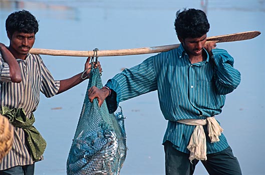Fischer am Strand von Puri in Orissa, Indien